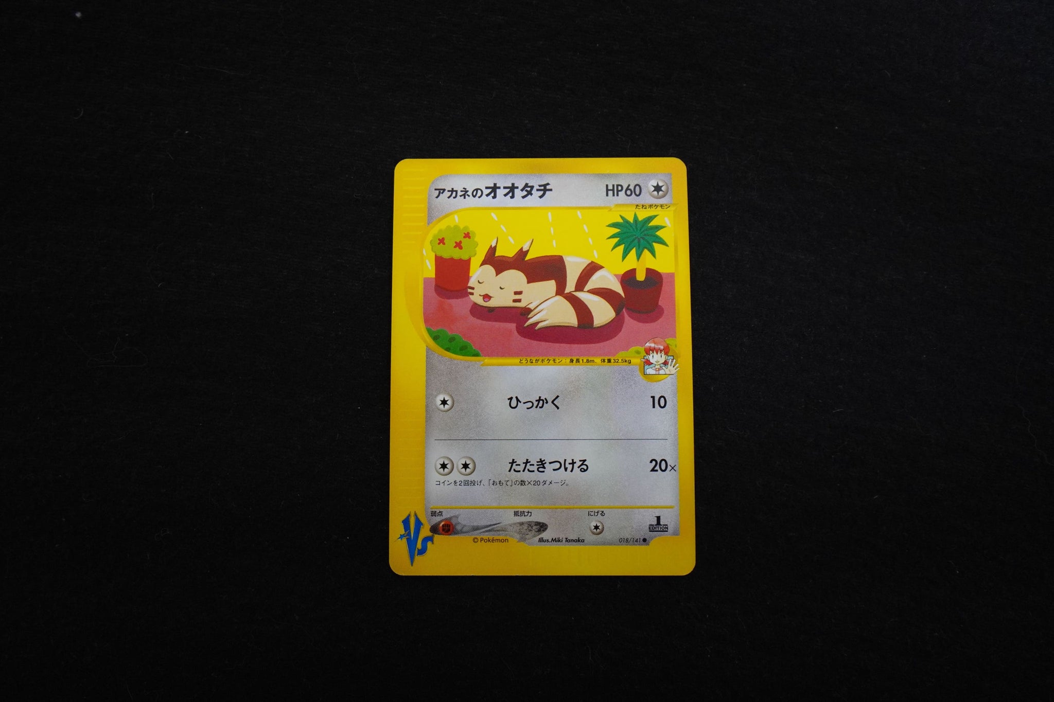 ○ポケモンカード アカネのオオタチ